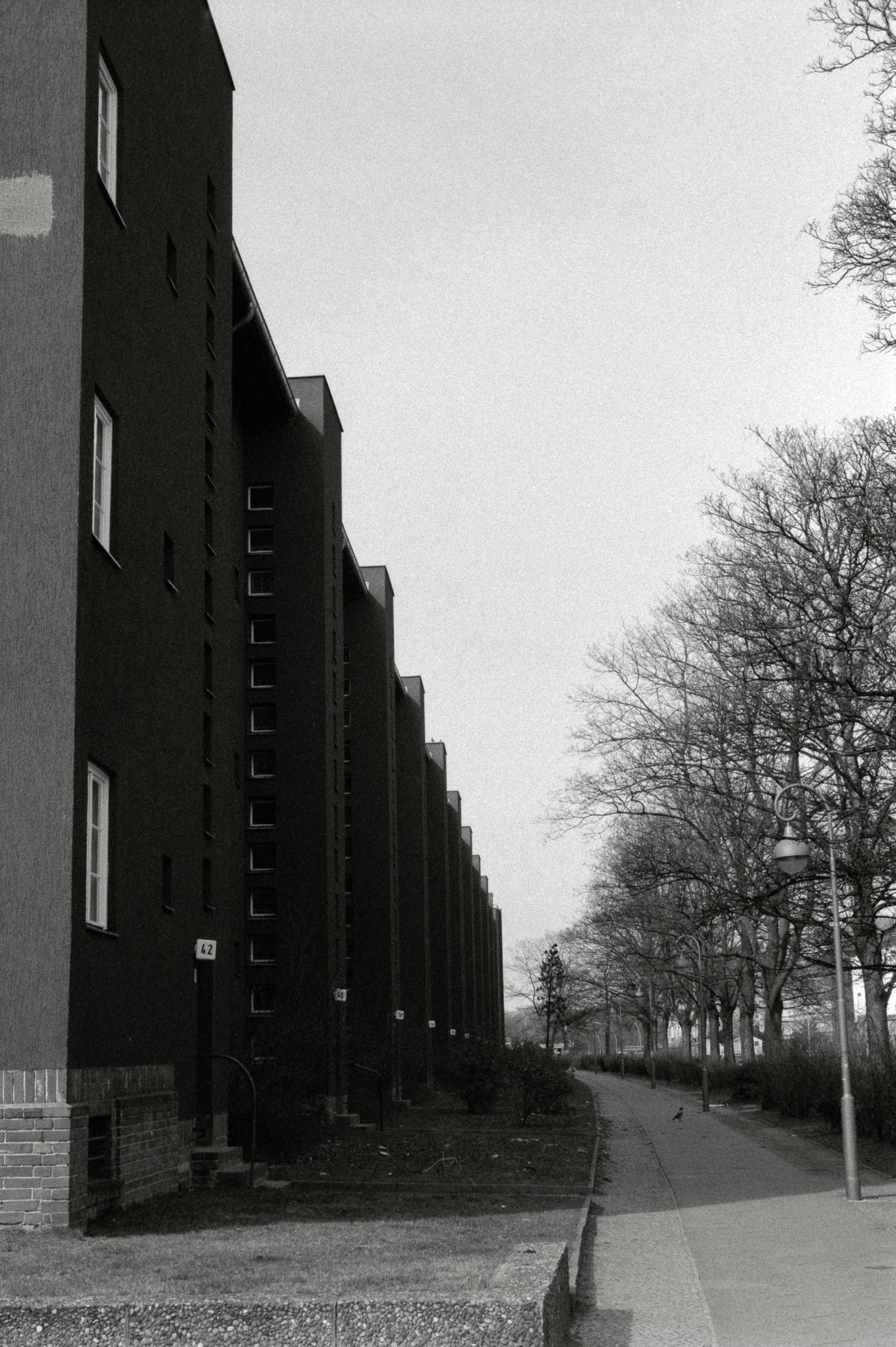 AHP F1993 03 007 sc240902 img09 NLP